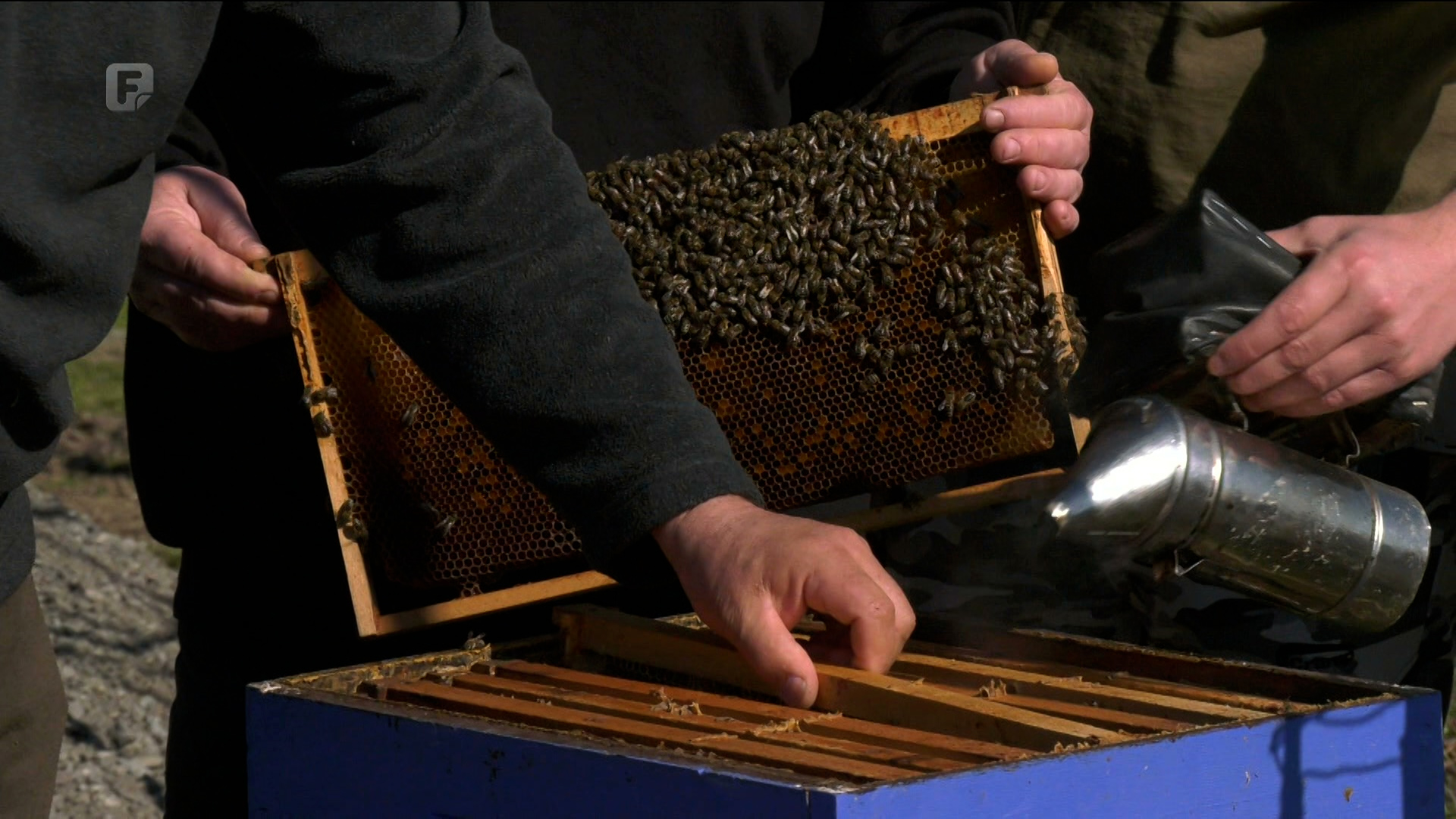 Oraški pčelari rijetki koji se pretjerano ne žale